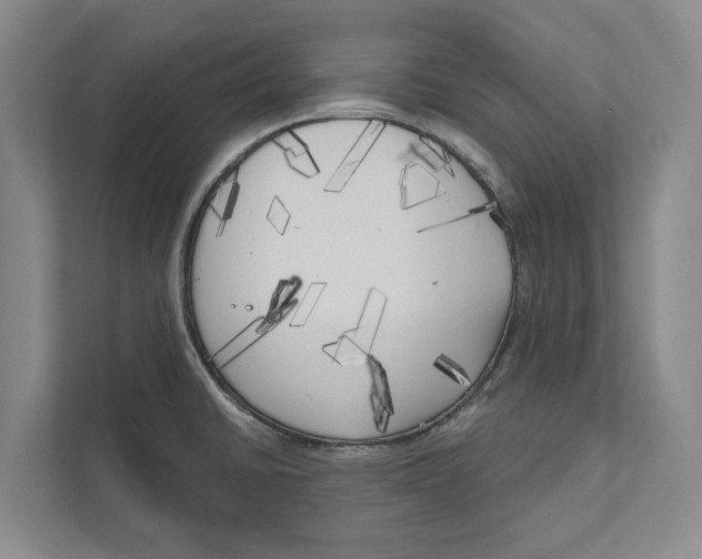 X0000111171430200907291114