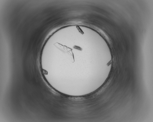 X0000111171432200907291114