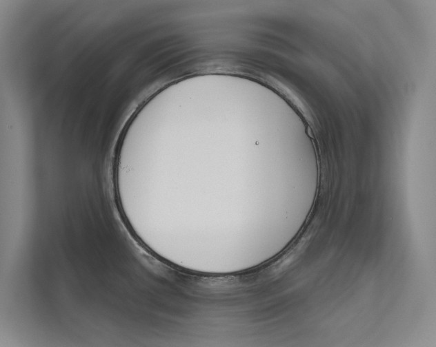 X0000111171434200907291114