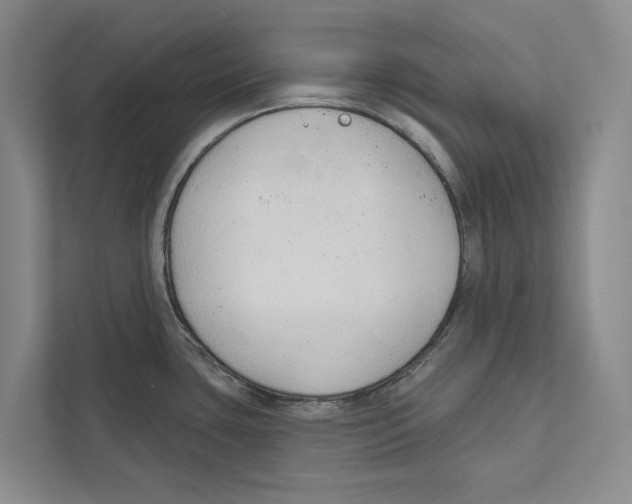 X0000111171435200907291114