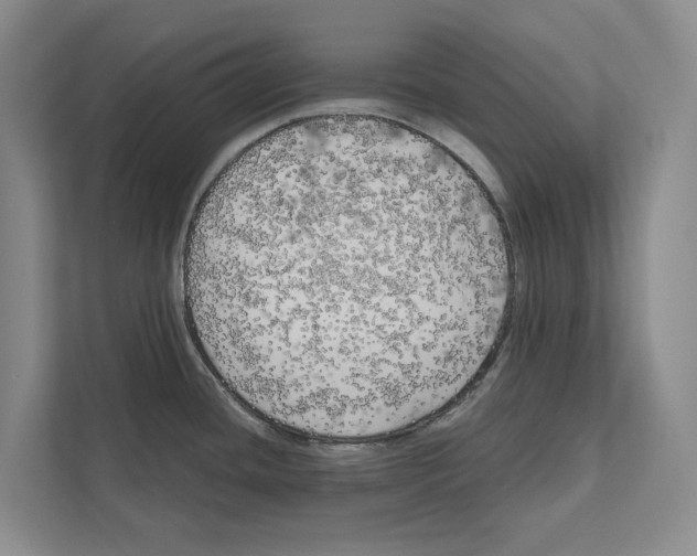 X0000111171436200907291114