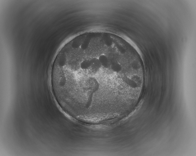 X0000111171437200907291114