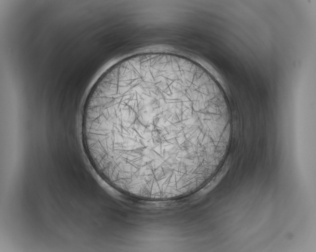 X0000111171438200907291114