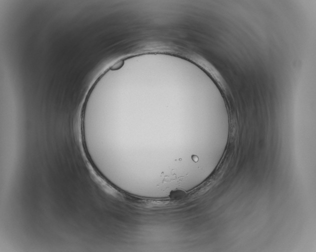 X0000111171439200907291114