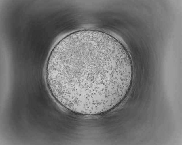 X0000111171440200907291114