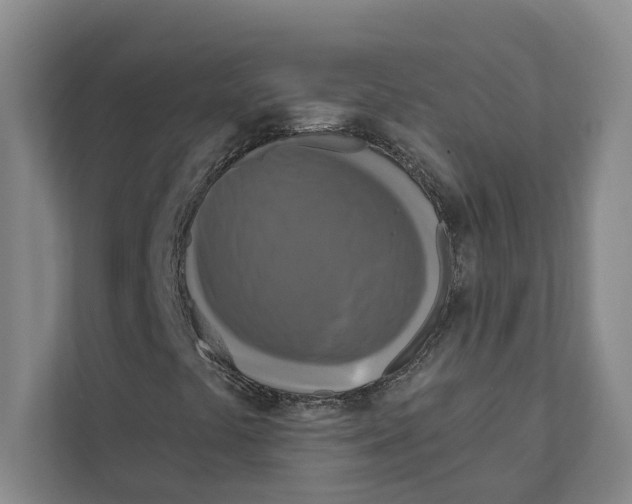 X0000111171441200907291113