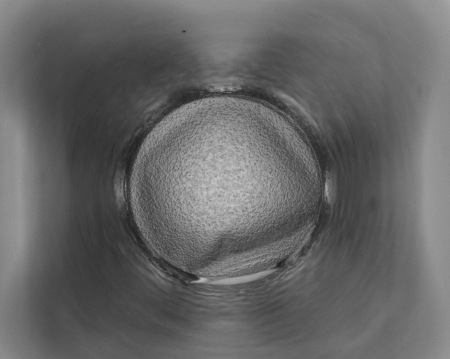 X0000111171444200907291113