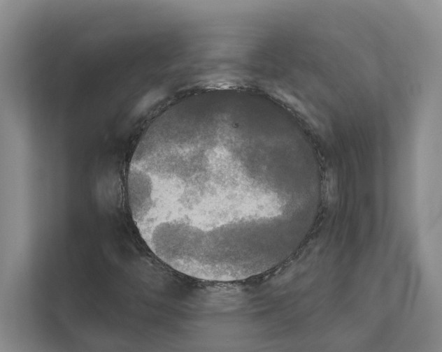 X0000111171446200907291113