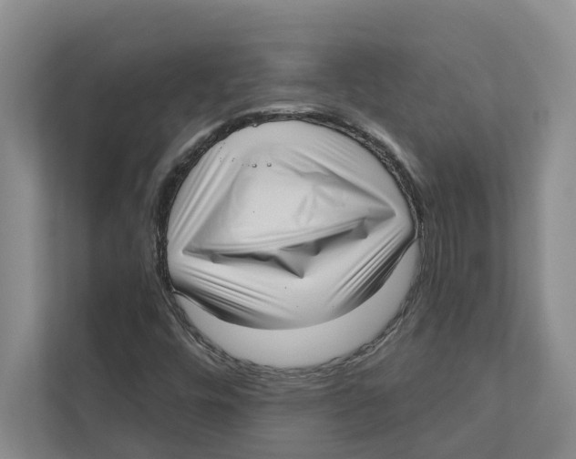 X0000111171448200907291113