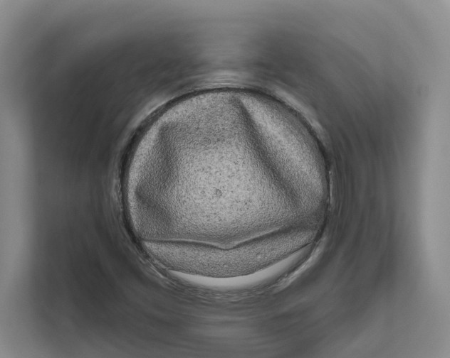 X0000111171453200907291113