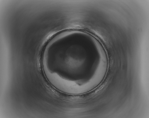 X0000111171455200907291113