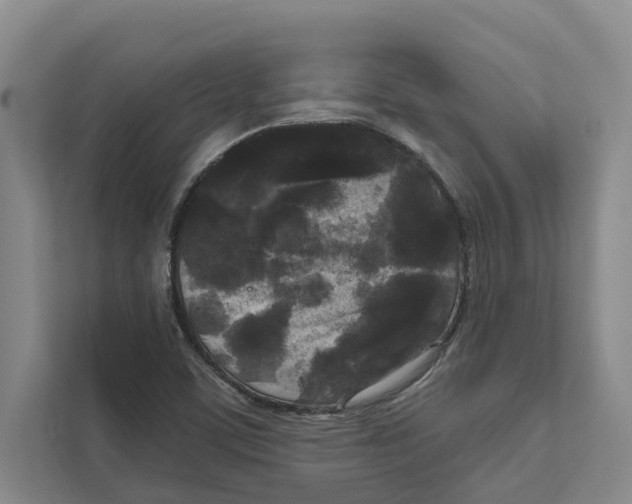 X0000111171459200907291113