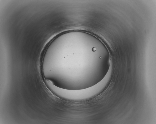 X0000111171460200907291113