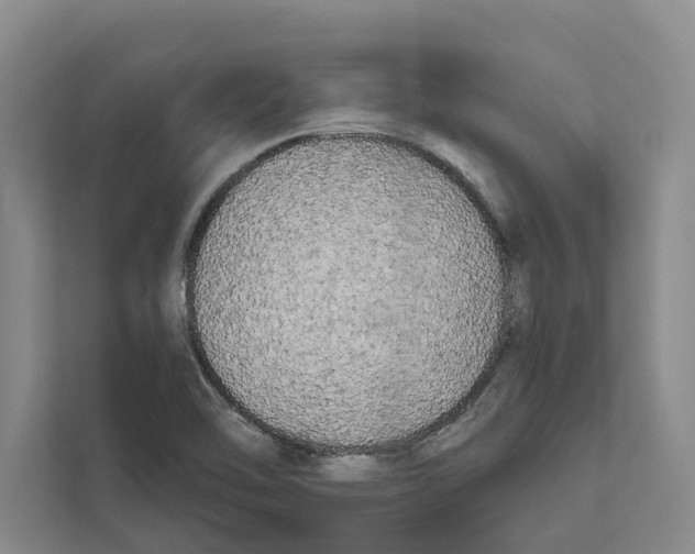 X0000111171462200907291113