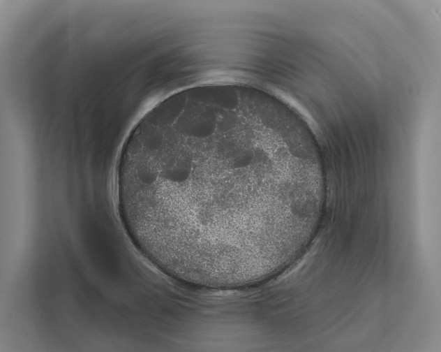 X0000111171467200907291113