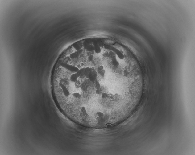 X0000111171471200907291113