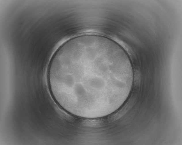 X0000111171474200907291113