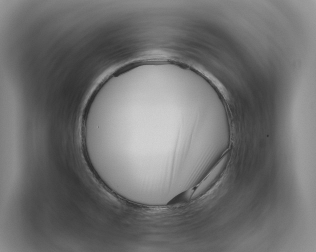 X0000111171477200907291113