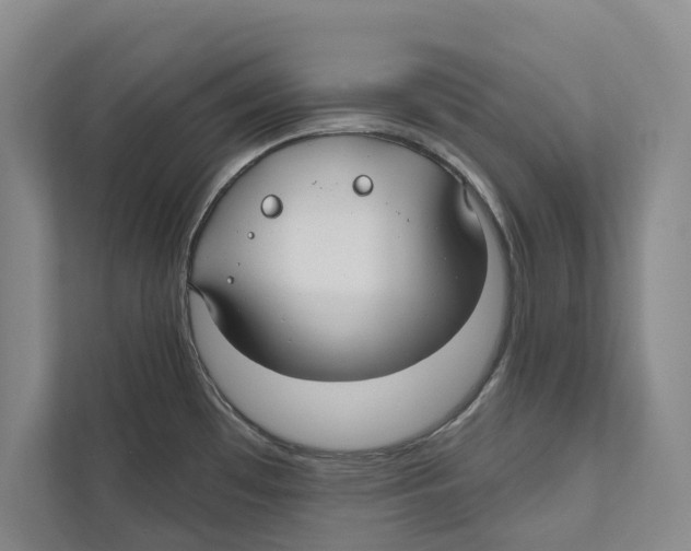 X0000111171481200907291113