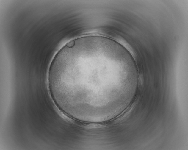 X0000111171482200907291113