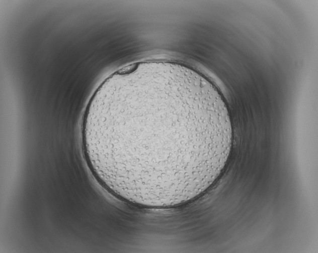 X0000111171483200907291113