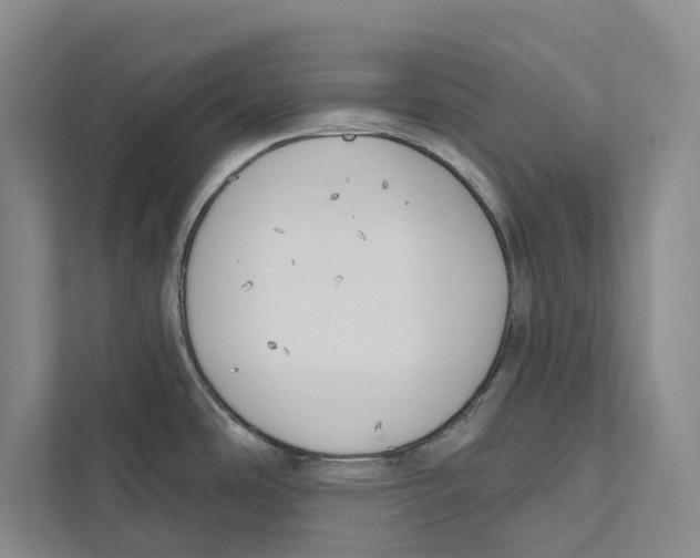 X0000111171486200907291113