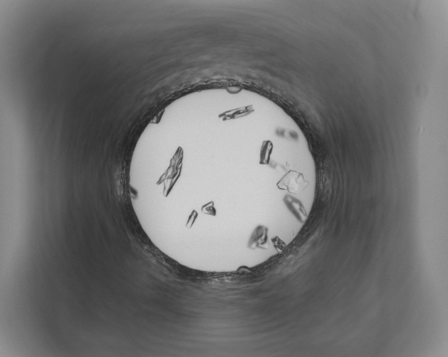 X0000111171490200907291112