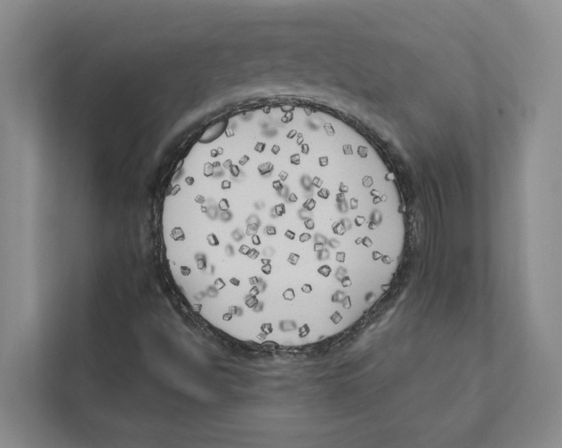 X0000111171494200907291112