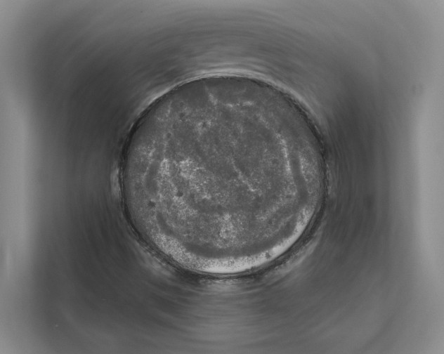 X0000111171497200907291112