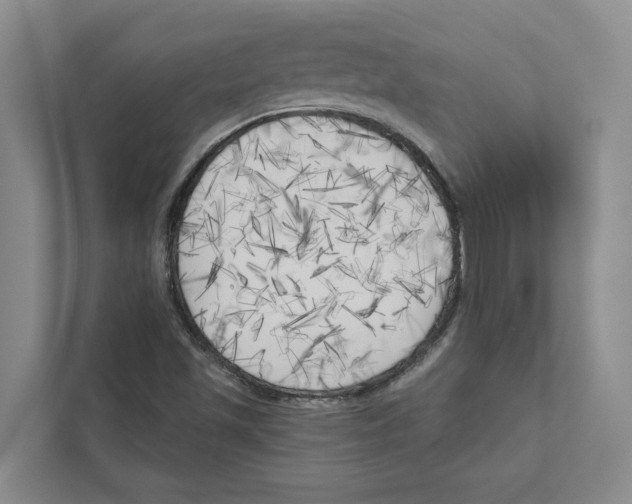 X0000111171501200907291112