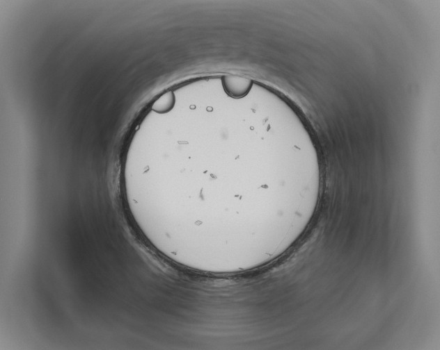 X0000111171507200907291112