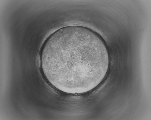 X0000111171509200907291112