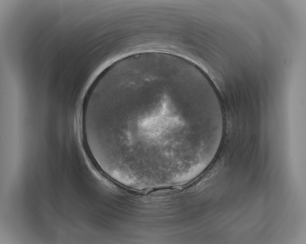 X0000111171515200907291112