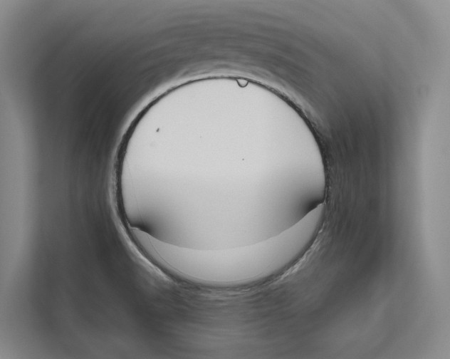 X0000111171518200907291113