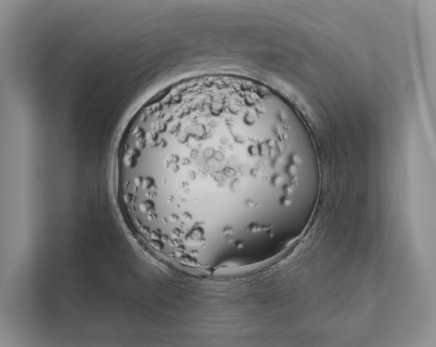 X0000111171520200907291113