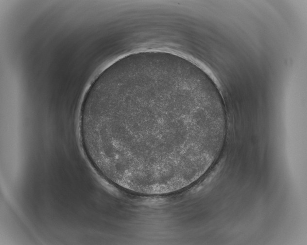 X0000111171525200907291113