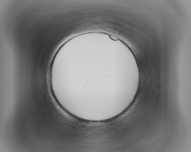 X0000111171526200907291113