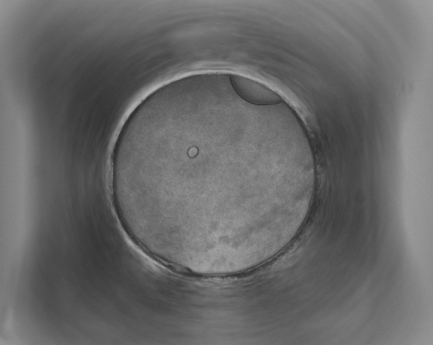 X0000111171527200907291113