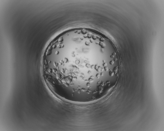 X0000111171528200907291113