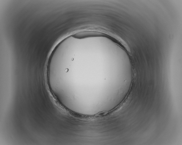 X0000111171530200907291113