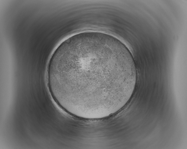 X0000111171531200907291113