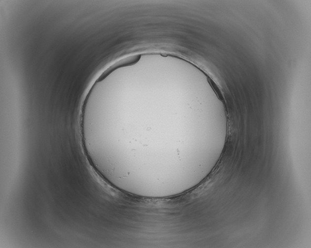 X0000111171532200907291113