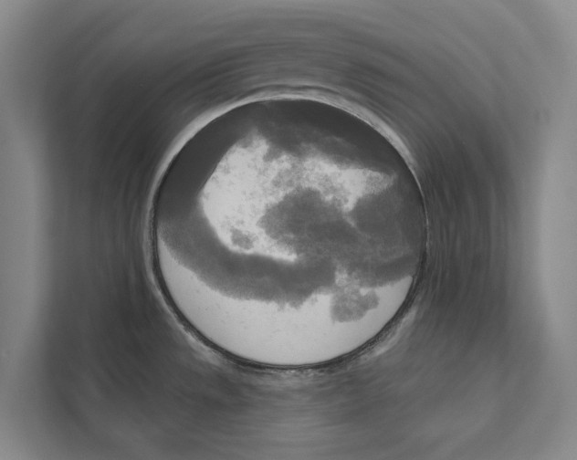 X0000111171533200907291113