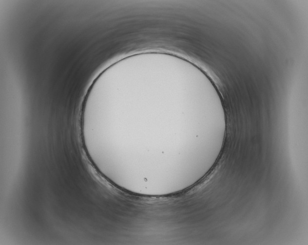 X0000111171534200907291113