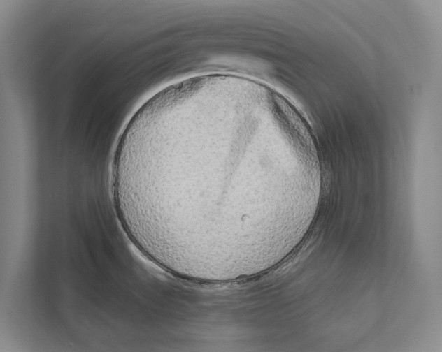 X0000111171535200907291113