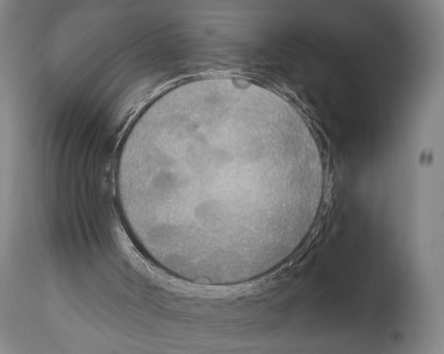 X0000111170002200908121058