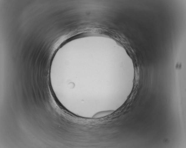 X0000111170003200908121058