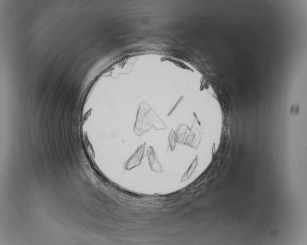 X0000111170004200908121058