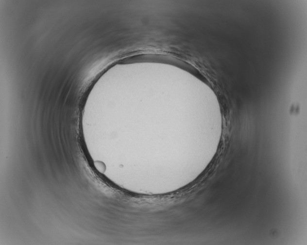 X0000111170005200908121058