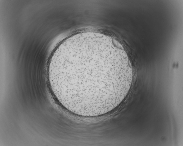 X0000111170006200908121058